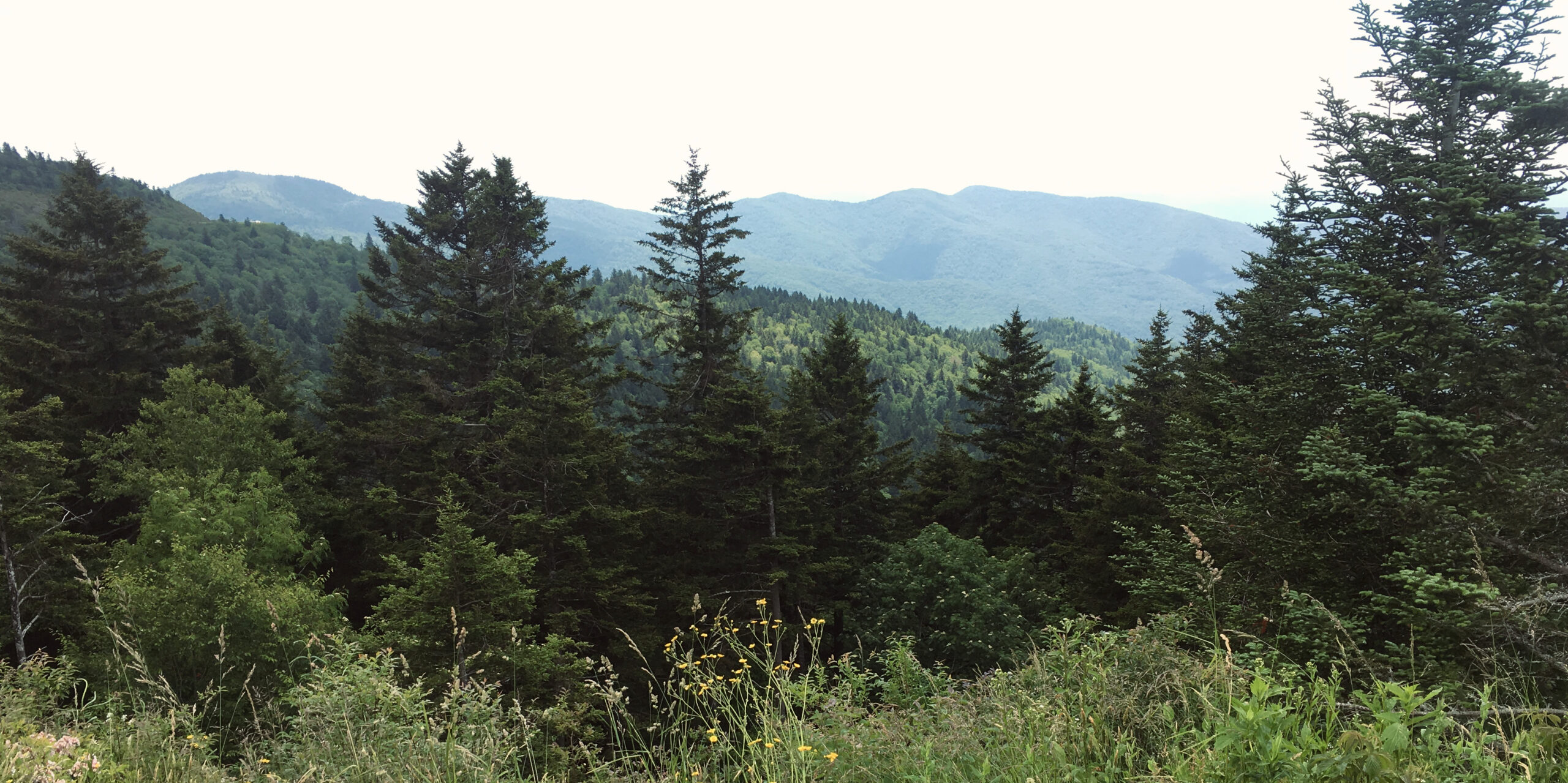 Scenic mountains stand tall under a sunny sky, their rocky summits contrasting beautifully with the lush landscape below.