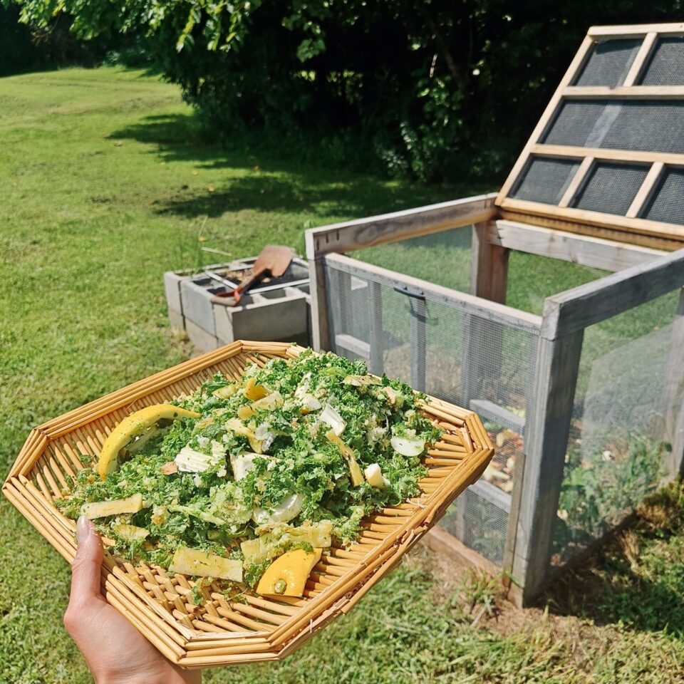 Composting at Home