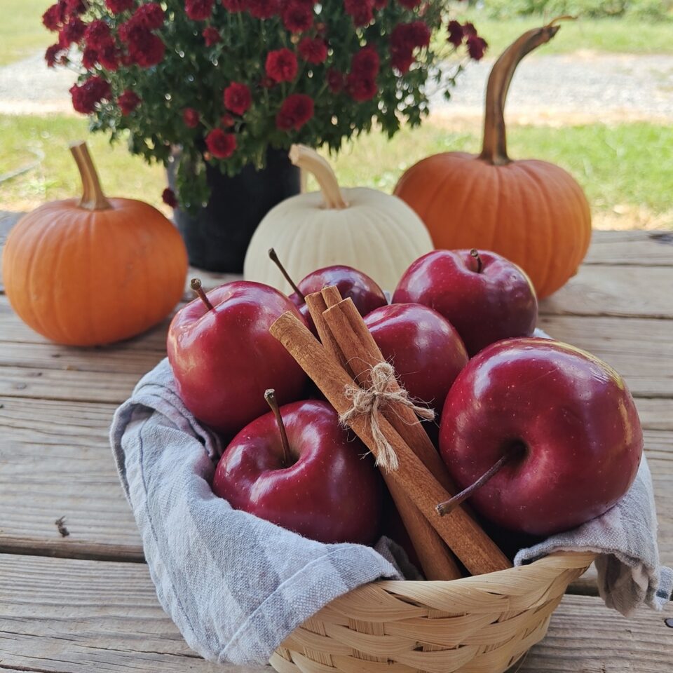 Mulled Apple Cider